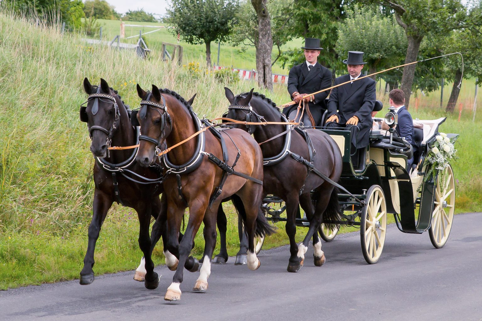 Kutsche fahren – Kutschfahrten Wenderoth